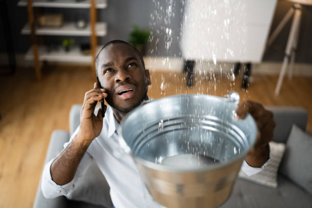 Best Water damage restoration near me  in New Sharon, IA