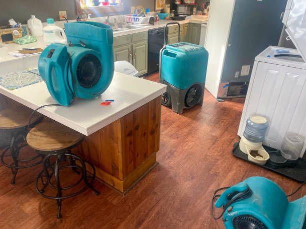 Best Emergency water damage restoration  in New Sharon, IA