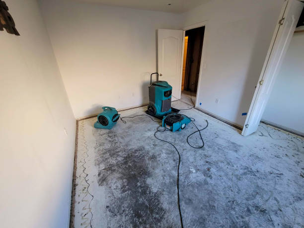 Professional Water damage restoration in IA