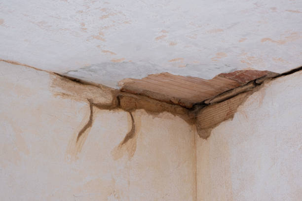 Best Basement water damage restoration  in New Sharon, IA