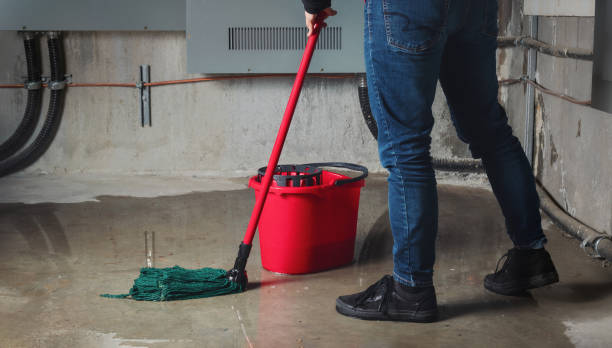 Best Mold removal after water damage  in New Sharon, IA