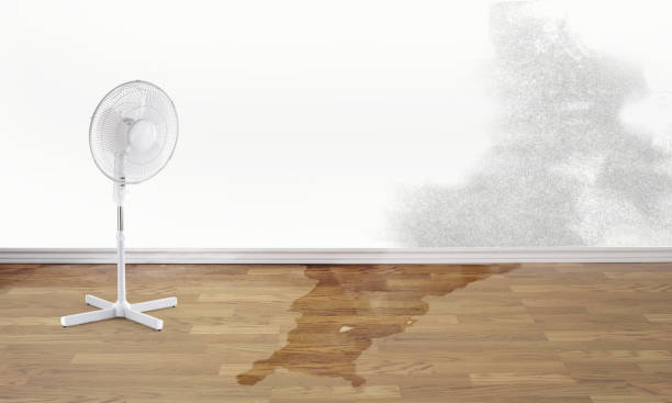 Best Water damage restoration experts  in New Sharon, IA