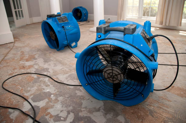 Best Professional water damage repair  in New Sharon, IA