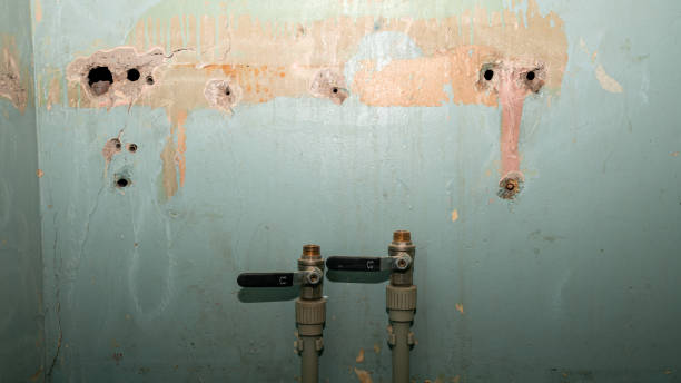 Best 24/7 water damage repair  in New Sharon, IA