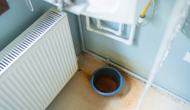 Best Flood restoration services  in New Sharon, IA