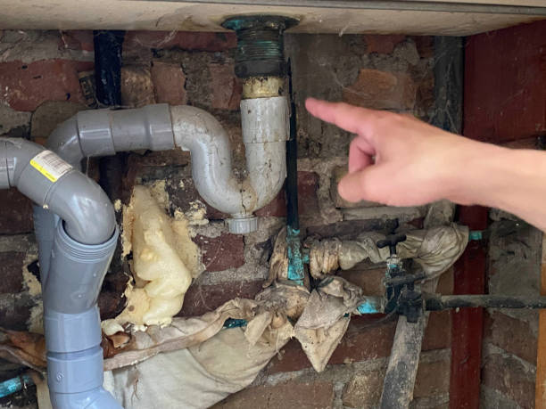 Best Water damage restoration near me  in New Sharon, IA