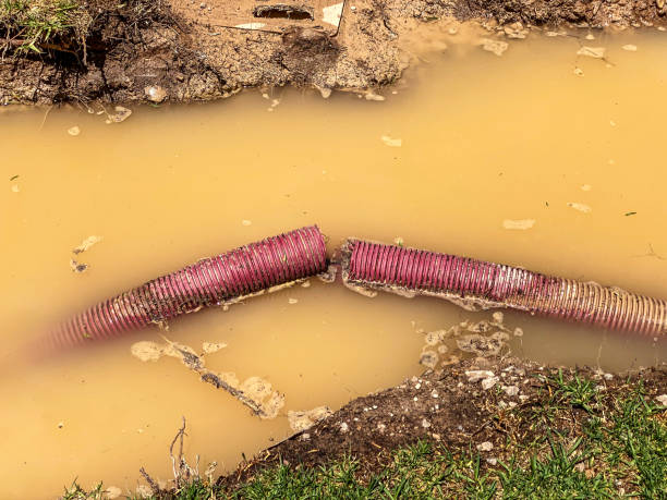 Best Local water damage restoration  in New Sharon, IA